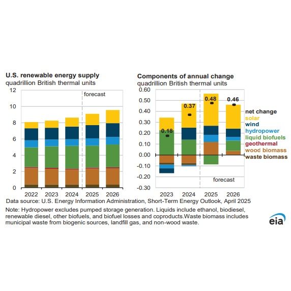 EIA: Bioenergy capacity to remain unchanged in 2025, 2026