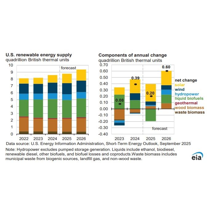 EIA: Woody biomass consumption for energy expected to increase in