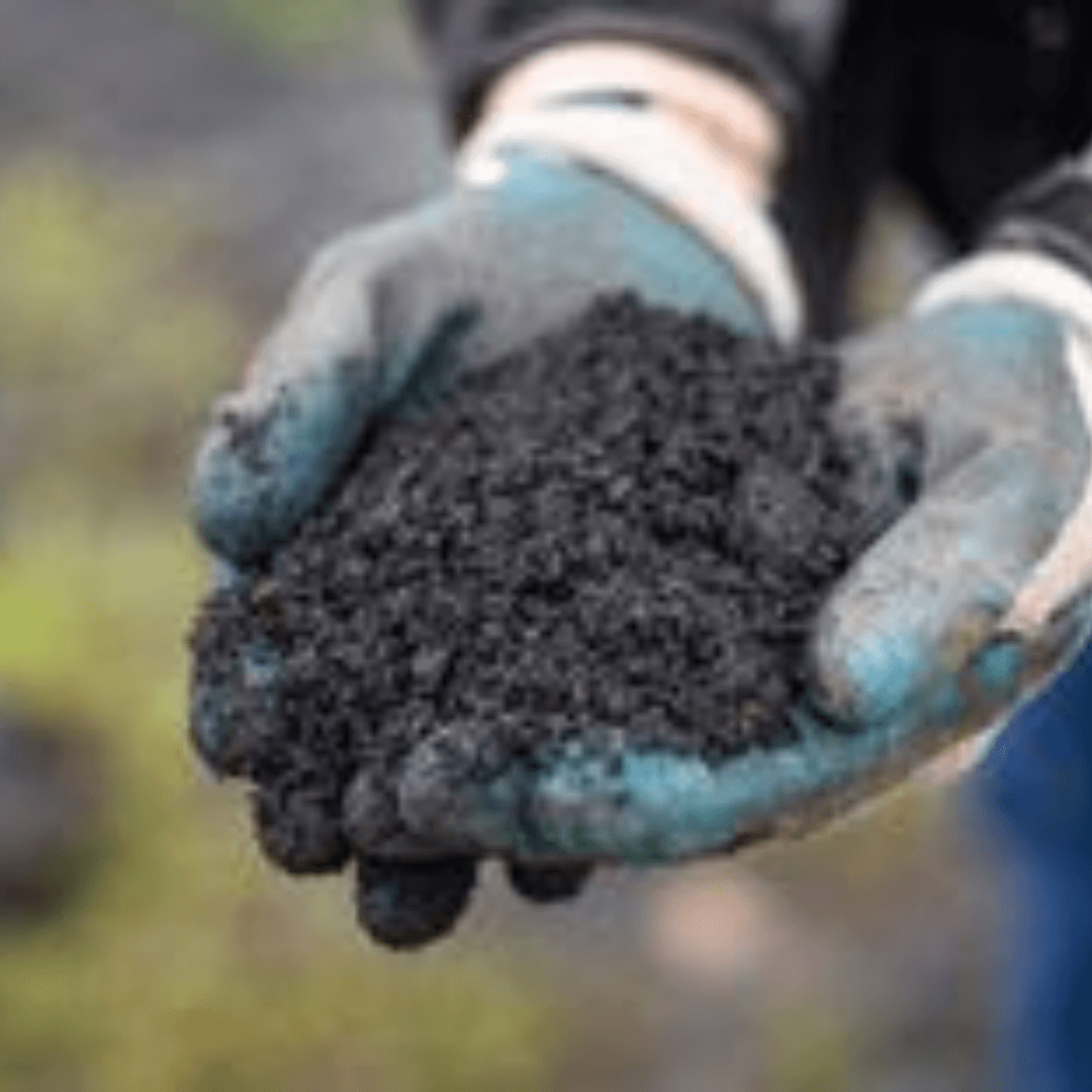 How biochar is transforming water treatment, carbon capture, and clean ...