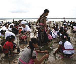 Residents of Tanjung Benoa village, Bali, Indonesia, delegates and local Red Cross volunteers plant mangroves to help stop coastal erosion in the village.