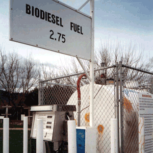 B100 at Yokayo Biofuels' pump in Hopland, Calif.