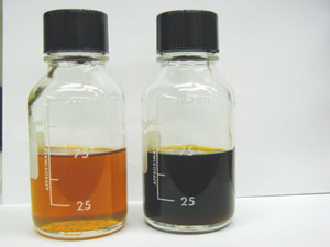 The biodiesel sample on the left is made from oil extracted from spent coffee grounds, which are pictured on the right./PHOTO: UNIVERSITY OF NEVADA-RENO