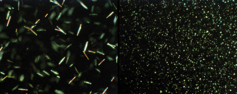 MAKING A DIFFERENCE: Saturated FAME crystal growth can be controlled by flow improvers to hinder crystals from forming large, interlocking species (left) by producing very small crystal entities that can be readily dispersed (right). 