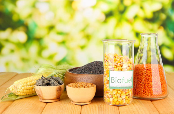 From Feedstock to Finish