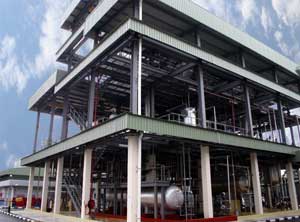 Vance Bioenergy's biodiesel production facility in Malaysia is currently under expansion to more than 45 MMgy. The company produces biodiesel from palm oil.