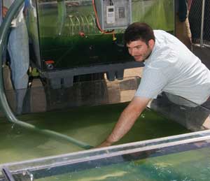 Students at the Engine and Energy Conversion Laboratory load the initial algae culture into the photobioreactor.