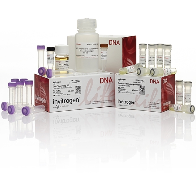 New GeneArt Algae Protein Expression Kits from Life Technologies