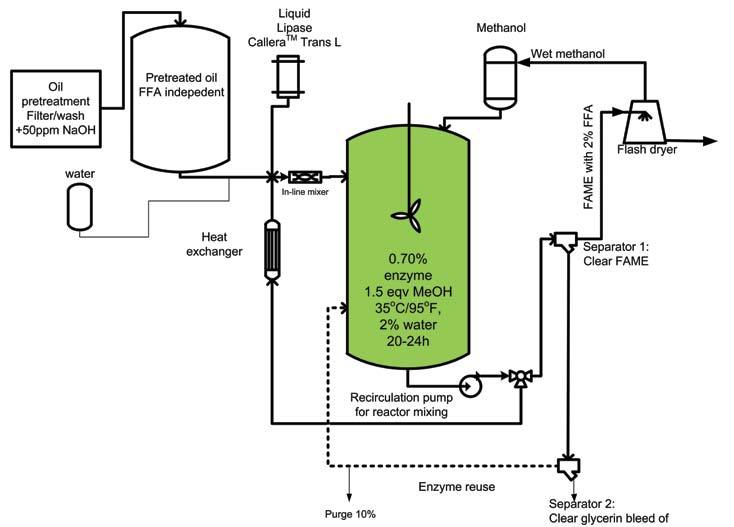 Enzymecatalyzed biodiesel made from lowquality oils Biodiesel Magazine