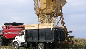 The Vermeer corncob harvester is a self-contained unit that can be towed directly behind select combines to collect and unload cobs. PHOTO: VERMEER CORP.