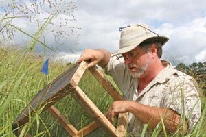 SDSU forage breeder Arvid Boe?s work in switchgrass has been complicated by the re-discovery of a tiny moth, first described a century ago. Only now when scientists are exploring biomass crops have they learned that it feeds on switchgrass and can ca