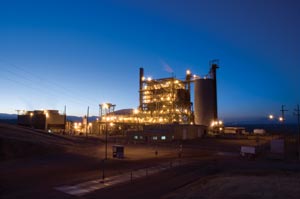 The Mt. Poso Cogeneration Co. facility will make the switch from coal to biomass starting at the end of this year. PHOTO: TERRY MILLS