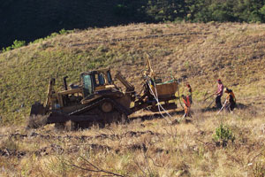 Silviculture adaptation for planting in hilly conditions PHOTO: SERVICIOS FORESTALES INTEGRALES 