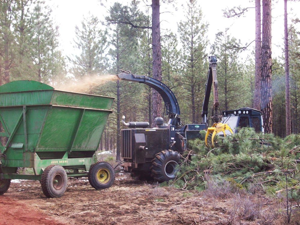 FOREST FUEL: The RTC 22 chipper from Fecon transforms waste from cut-to-length logging operations into wood chips that can be sold to cogeneration plants, allowing the generation of cleaner electricity. 