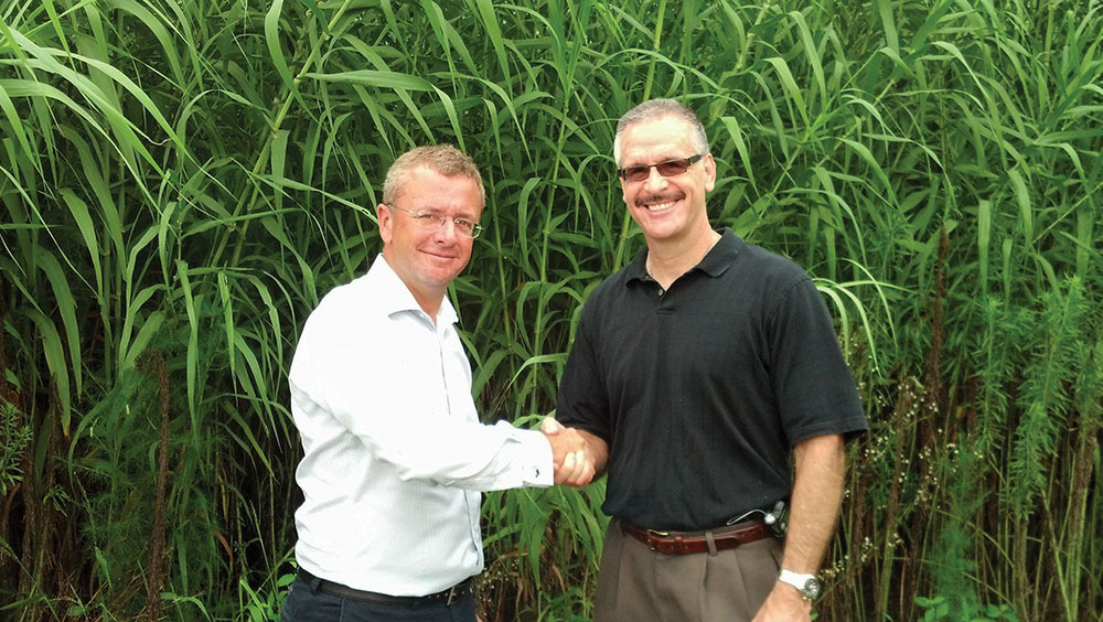 PROJECT PARTNERS: Paolo Carollo, executive vice president of Chemtex, and Mark Conlon, vice president of the Biofuels Center of North Carolina, stand in front of a second-year Arundo donax plantation.  While the center lost its state funding this sum