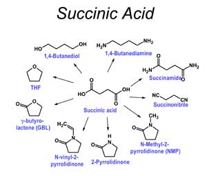 Succinic acid is a chemical building block that can be converted into a variety of high-value biobased chemicals or materials.