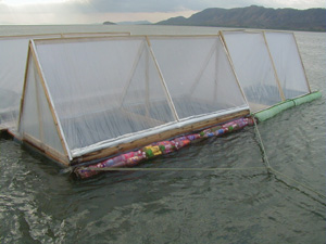 Seawater distillation tents, a project of Radulovich's and the Sea Gardens.