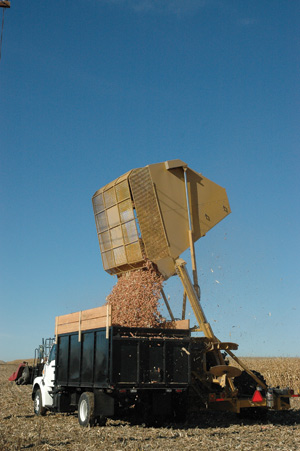 The Vermeer Corp. CCX770 Cob Harvester emptying cobs./PHOTO: RYAN C. CHRISTIANSEN, BBI INTERNATIONAL.