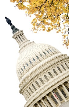 Senate Ag Committee advances Farm Bill 2.0 | Biomass Magazine