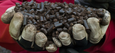 Dutch power plant successfully tests torrefied biomass pellets ...