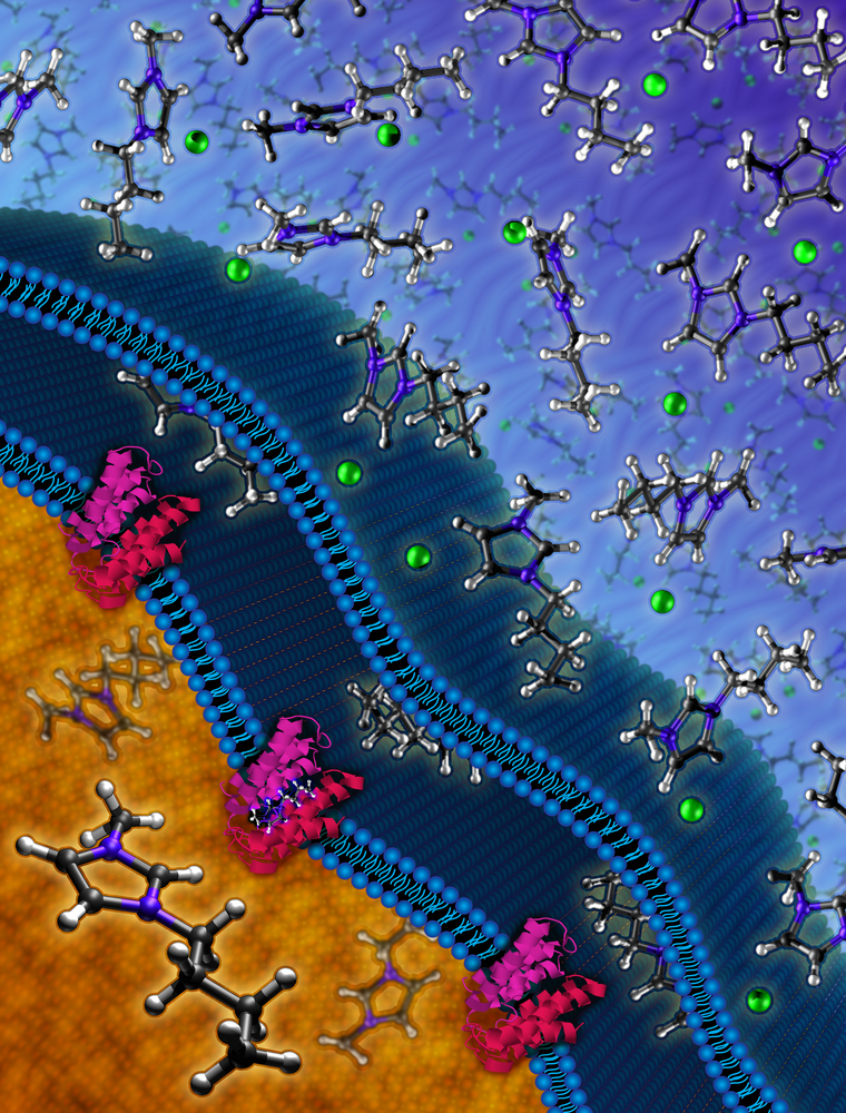 Lawrence Livermore discovery could improve biofuel production ...