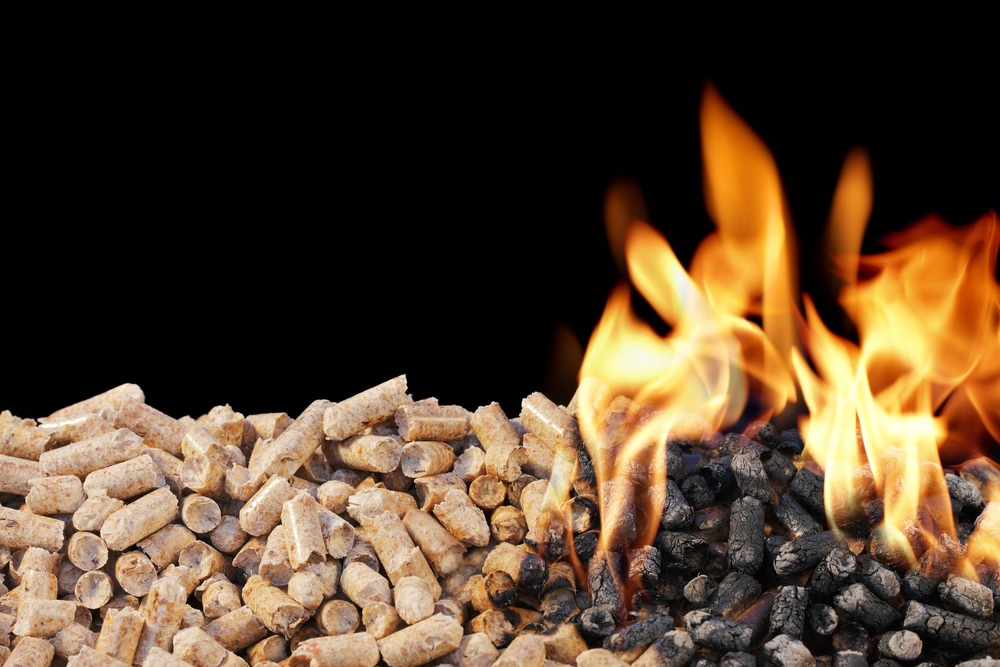 Biomass Industrial Innovative Projects: Production of Wood Pellets or Charcoal  Pellets?