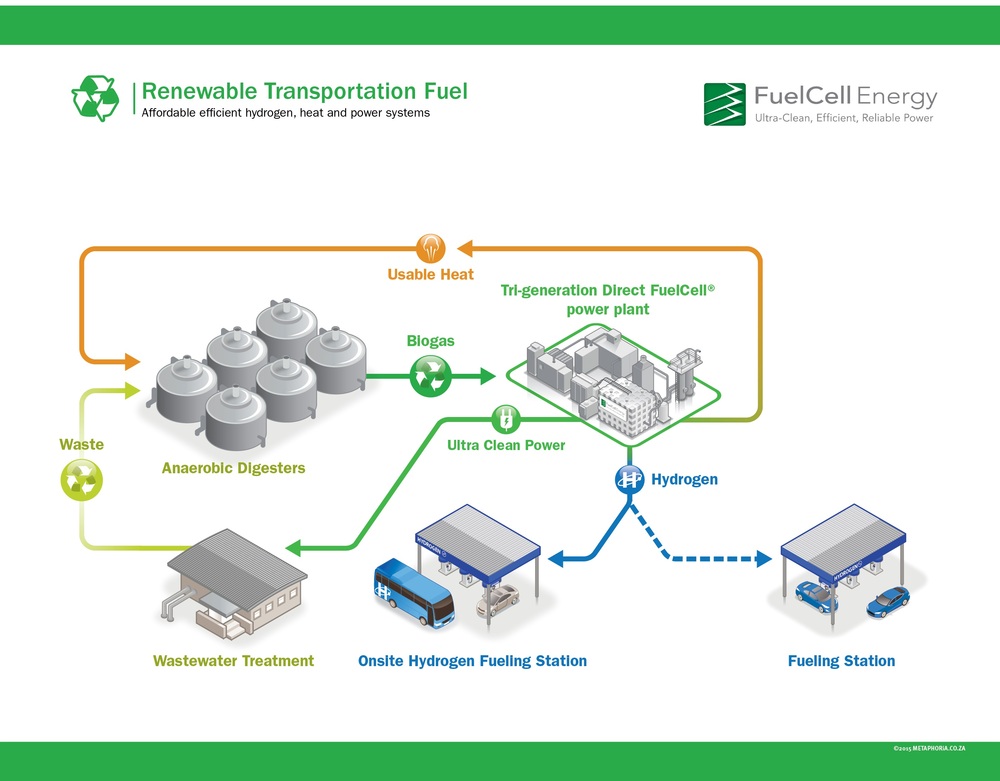 Hydrogen Fuel Cell Power Plant