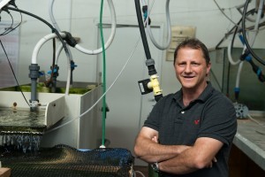 Researchers produce biochar, hydrochar from poultry litter | Biomass ...