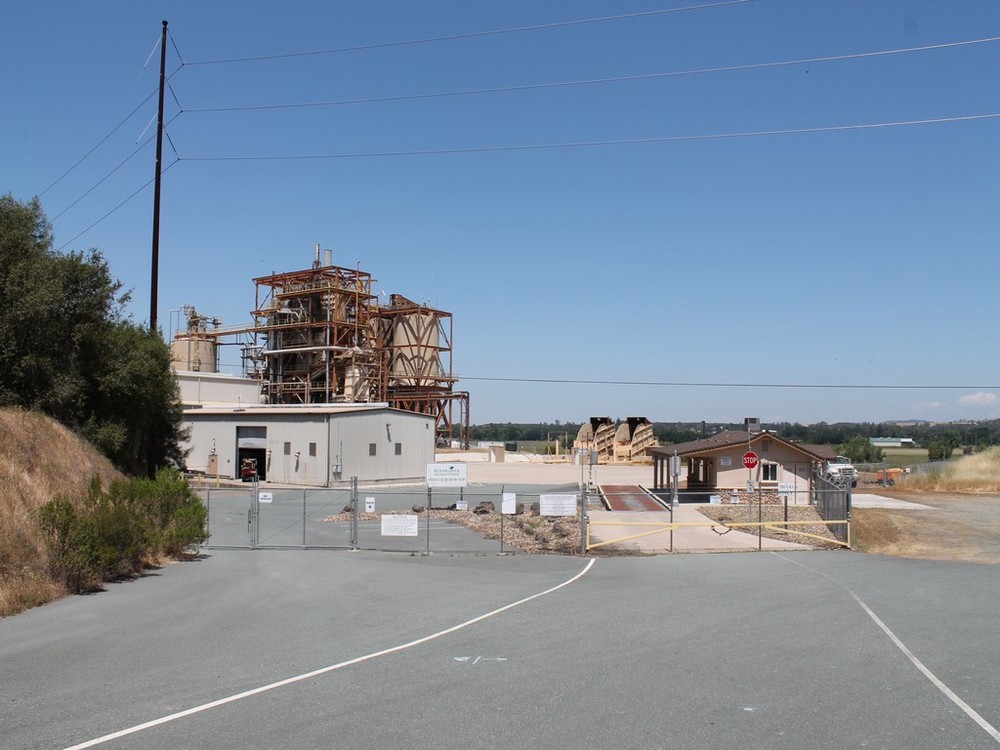 Buena Vista biomass power plant to be sold at auction | Biodiesel Magazine