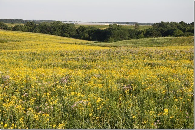 Grant helps harness biomass, manure to fuel farms | Biomass Magazine