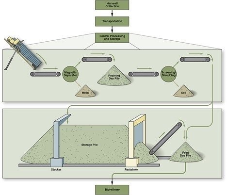 DOE: In search of a later biomass expiration date | Biomass Magazine