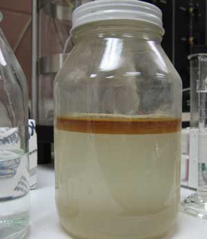 The SPCC definition of an oil is not always as clear as this oil-and-water mixture.
