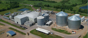 Ace Ethanol in Stanley, Wis., is considering a purchase offer from All Fuels.