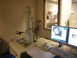 North Dakota State College of Science's new electron microscope will allow biofuels and nanoscience students to see deep into their subject.