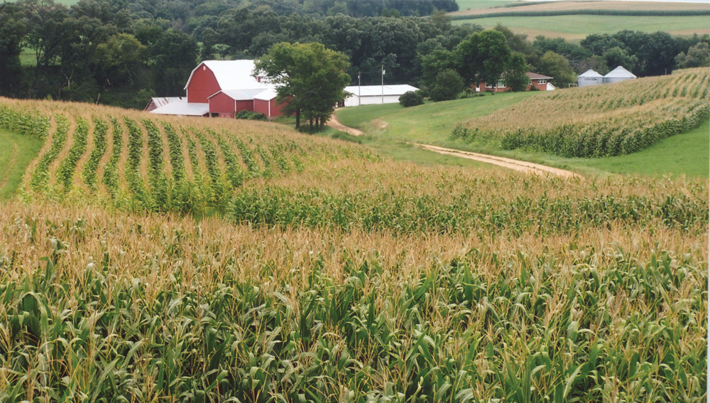 Food, Feed and Fuel: Corn yields have been increasing yearly for decades.  