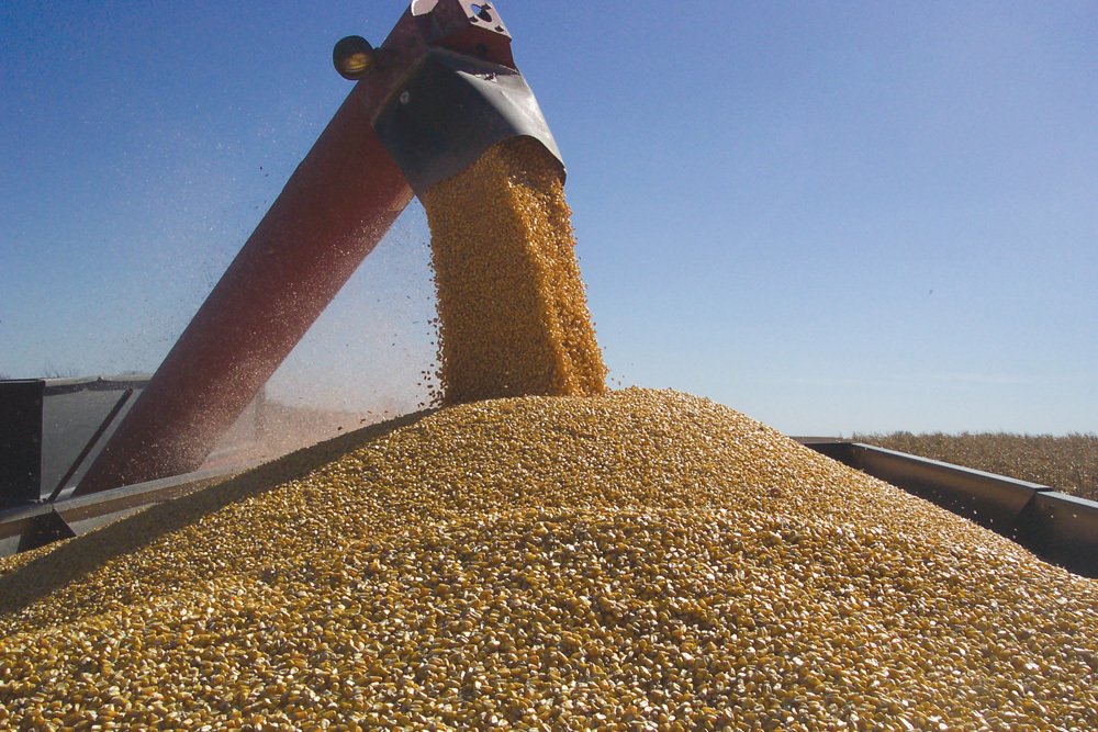 Digging into the Details: Although most corn ethanol plants donâ€™t use third-party grading services, grain expert Charles Hurburgh Jr. believes it is needed. 