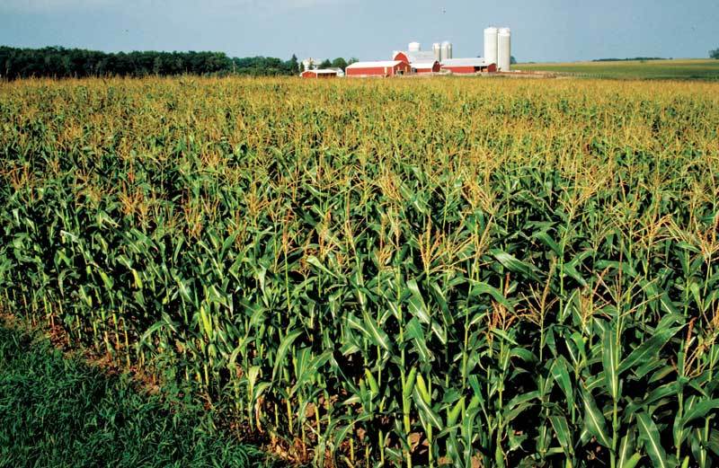 Fields of Dreams Ethanol Producer Magazine