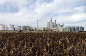 Western Plains Energy in Oakley, Kan., is one of 14 plants in Kansas and Texas using sorghum.
