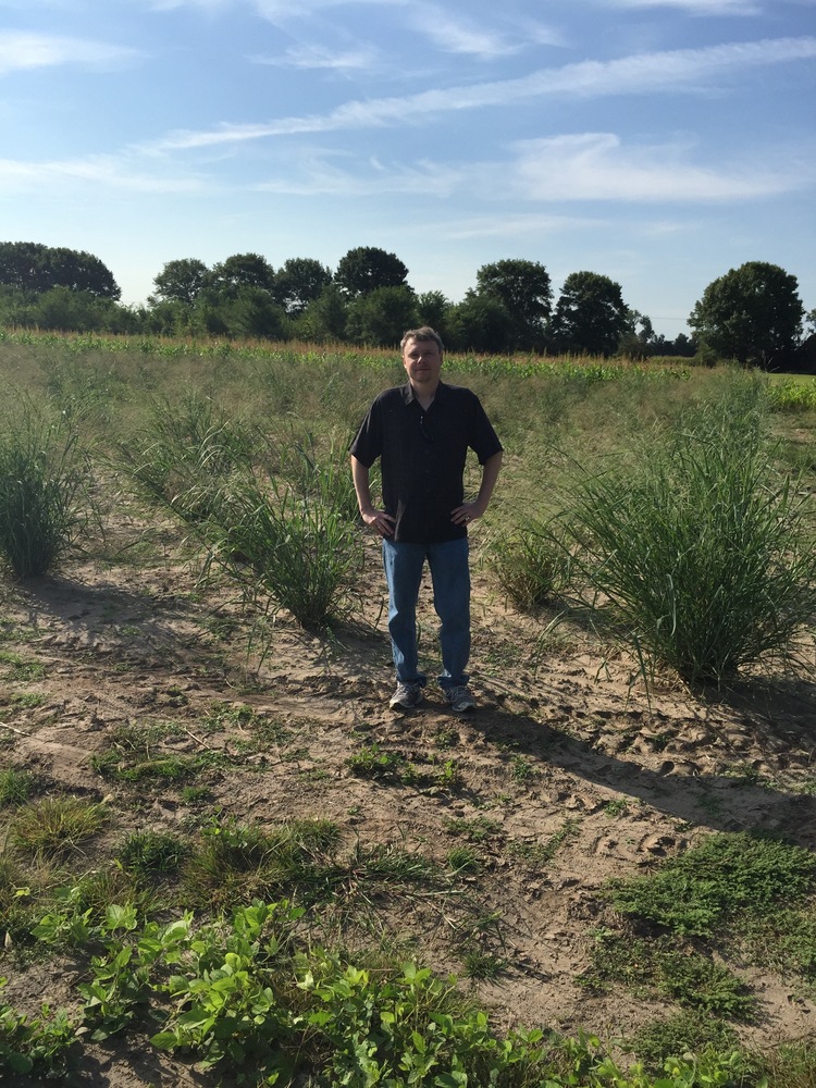Switchgrass research projects awarded grant money Biodiesel Magazine