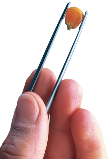 Chs To Use Enogen Corn At Illinois Ethanol Plant Ethanol Producer