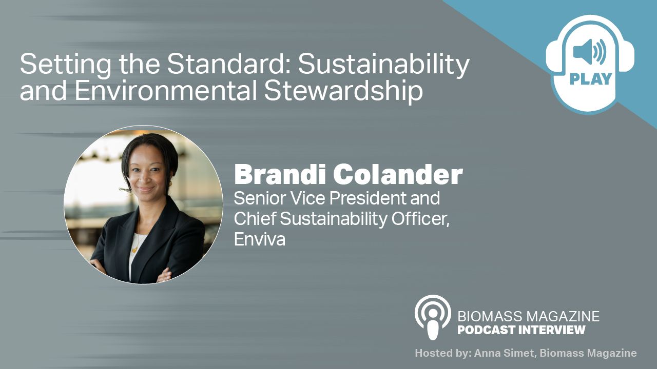 Setting the Standard: Sustainability and Environmental Stewardship thumbnail
