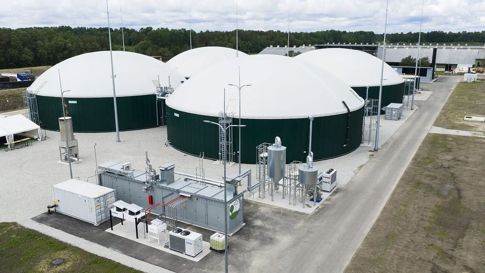 Erex announces plans to construct 112 MW biomass power plant in